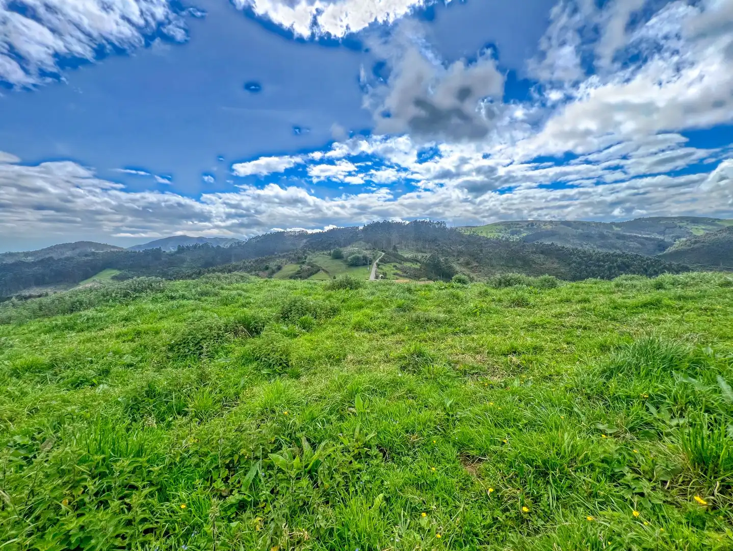 Lands and plots for sale in Pillarno, imagen 12