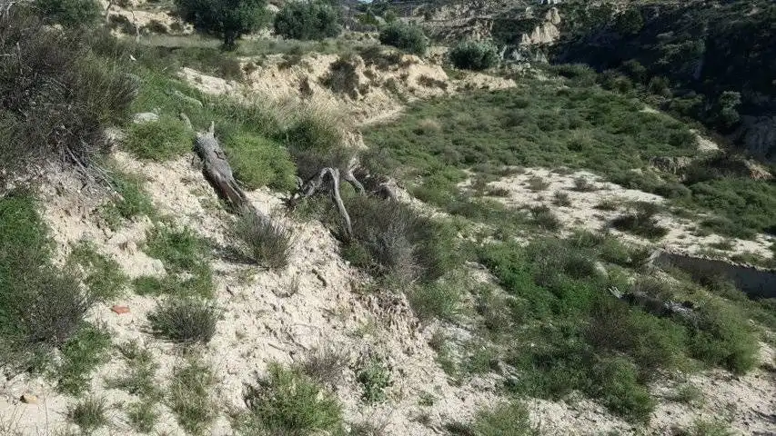 Finca rústica en venta en Ricote