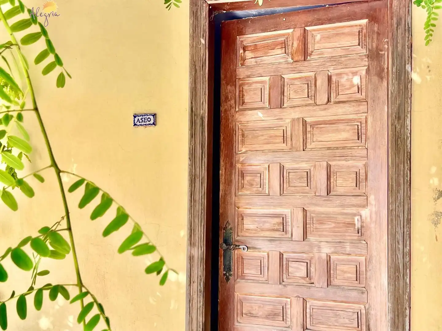 Vista exterior de Casa o xalet en venda en Daya Vieja amb Aire condicionat, Calefacció i Jardí privat
