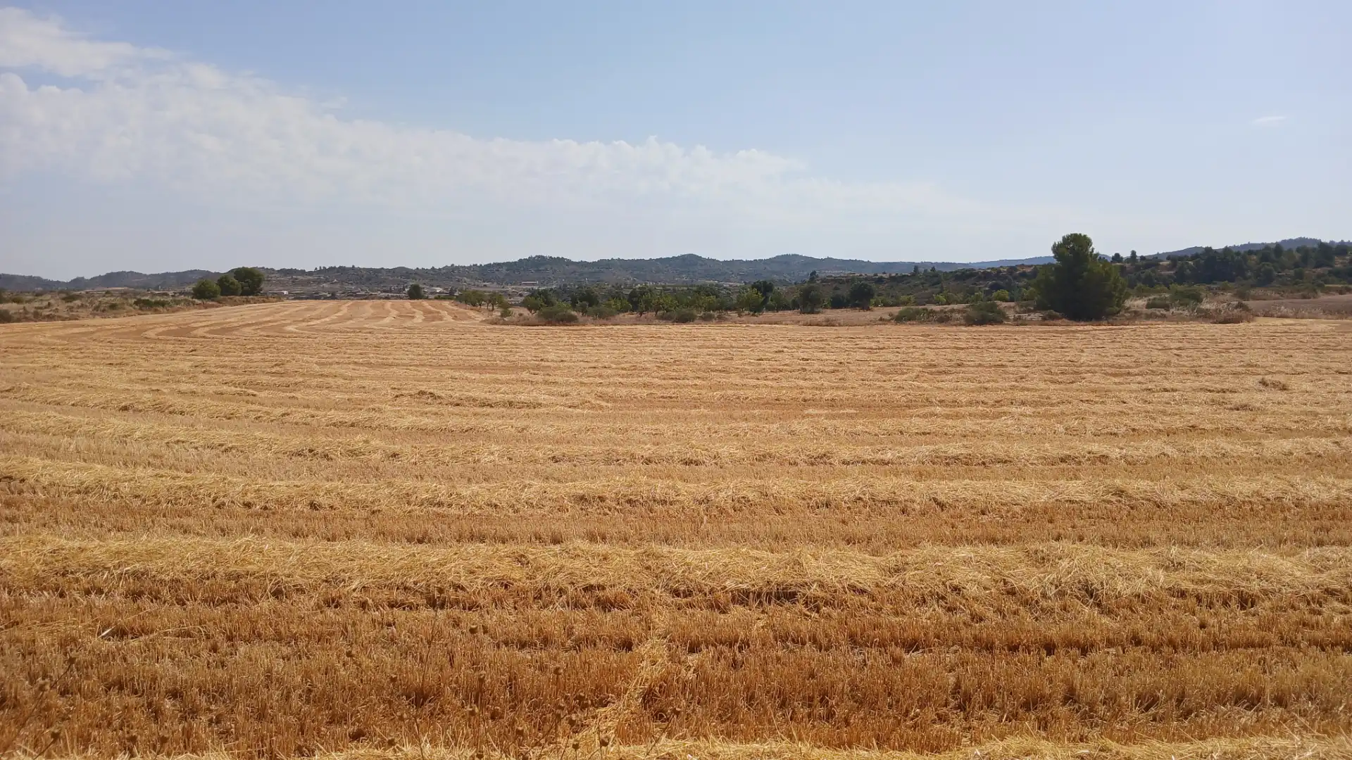 Terreno en venta en Castelserás, Teruel