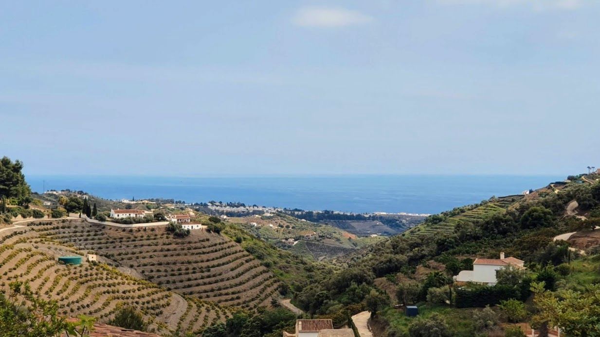 Vista exterior de Residencial en venda en Frigiliana