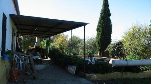 Foto 5 de Finca rústica en venda a El Gastor, Cádiz
