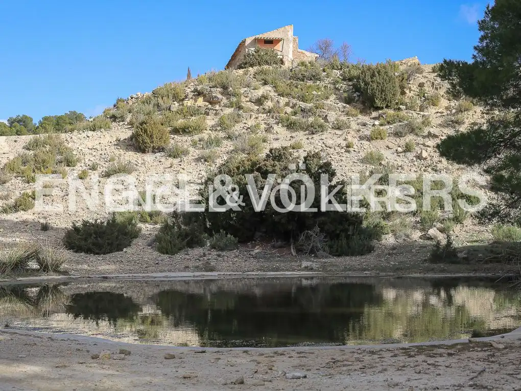 Maison rustique avec piscine à vendre à Ayora, imagen 49