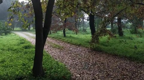 Foto 3 de Piso en venta en La Xara - La Sella, Dénia