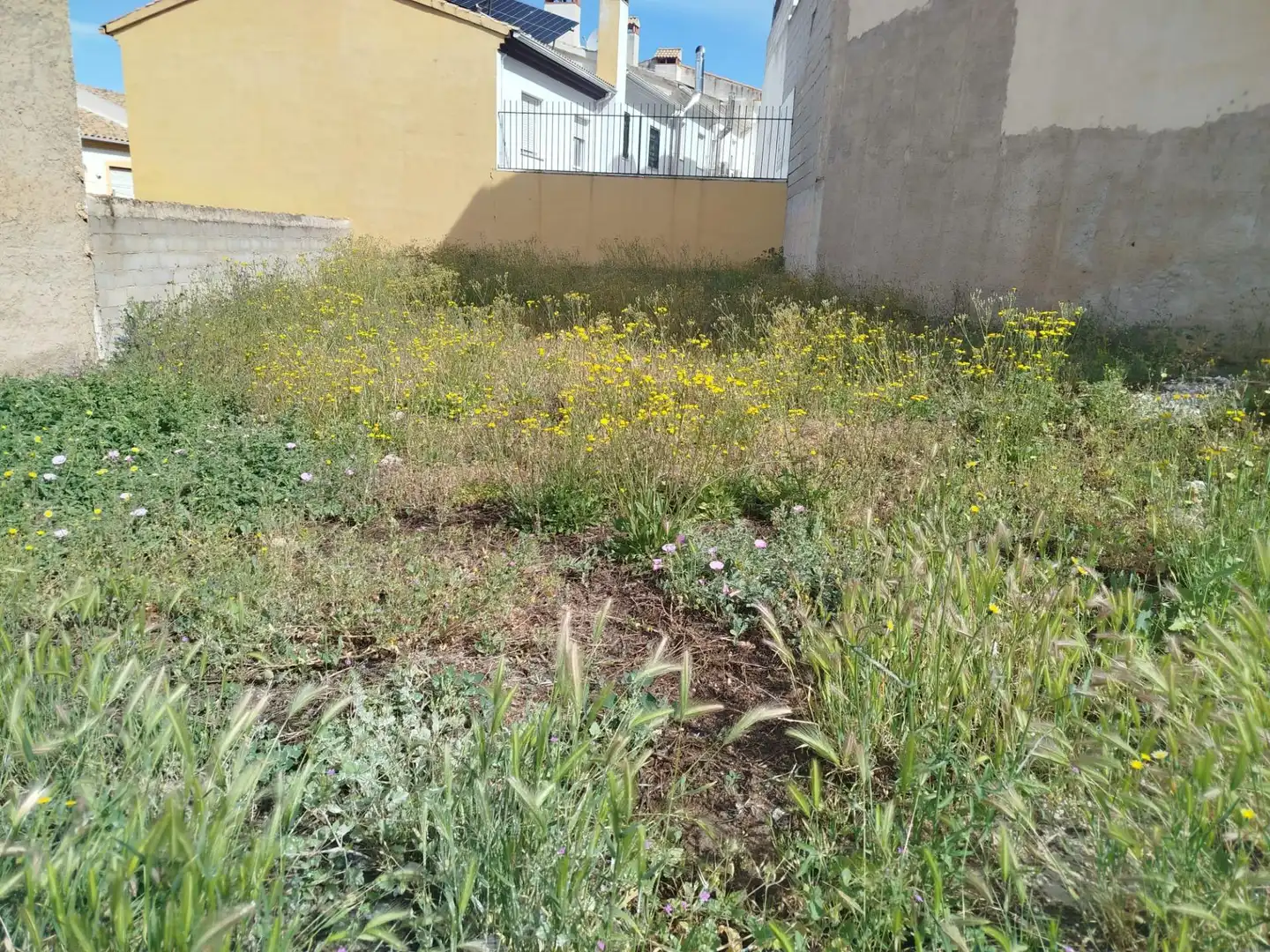 Terreni e lotti in vendita a Güevéjar, imagen 6