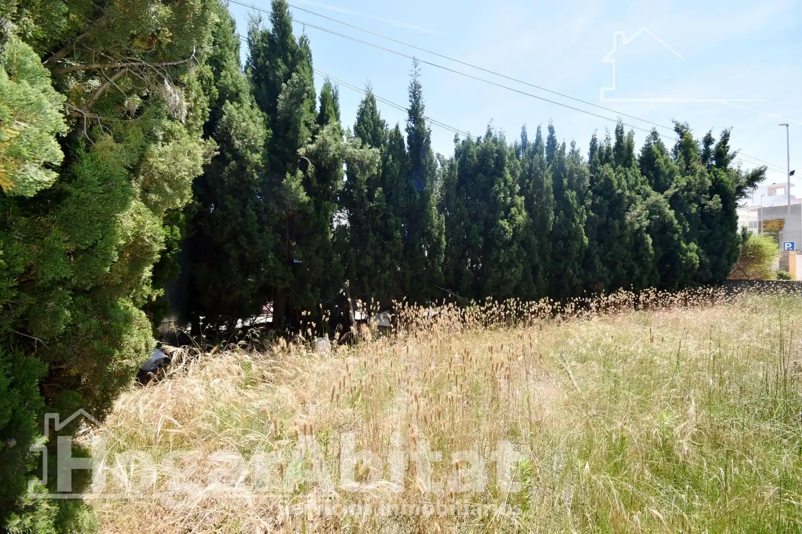 Residential land for sale in Avenida Norte, imagen 7