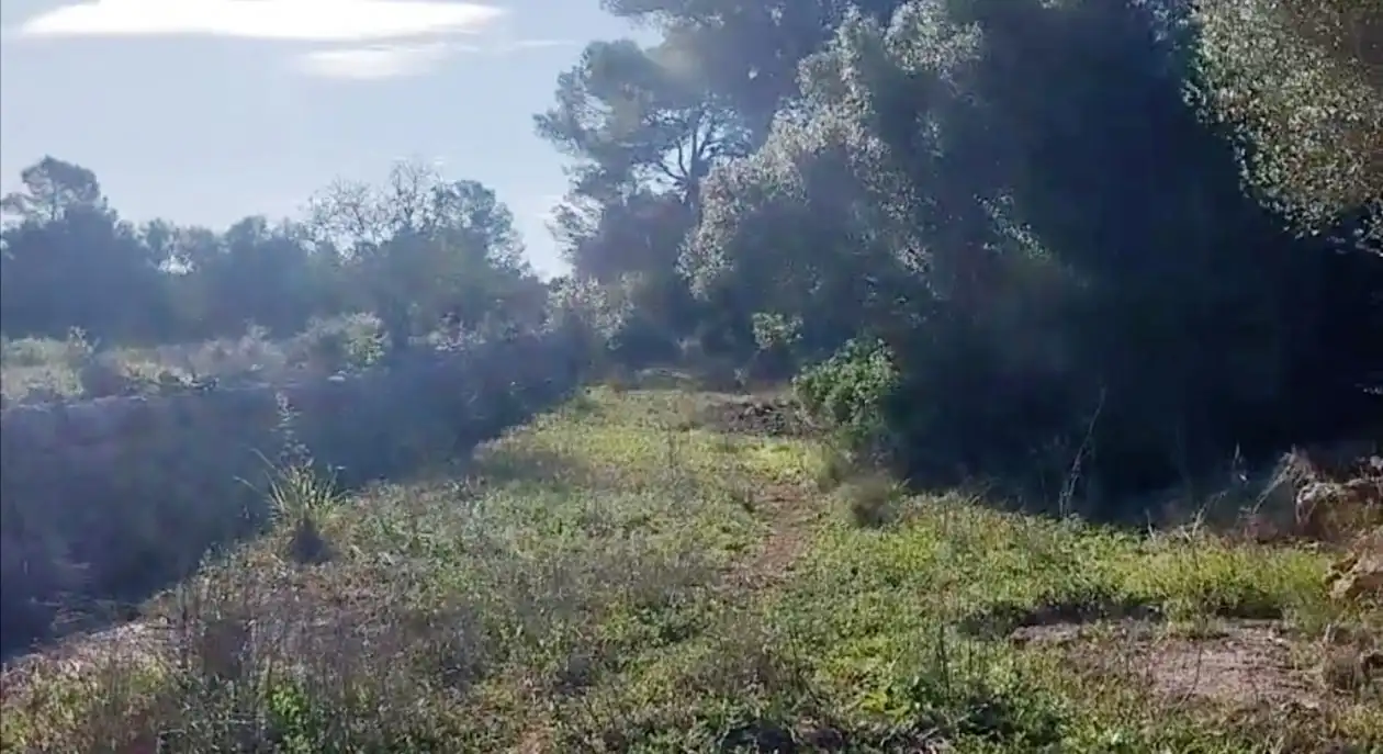 Terreno rustico in vendita a 0, imagen 2