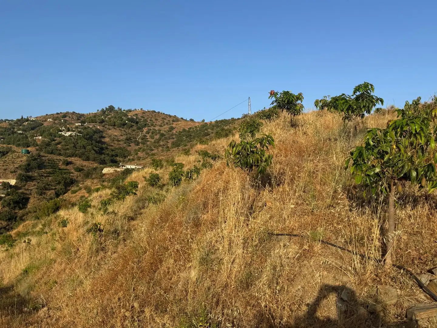 Rustikales Grundstück zum Verkauf in Pago Romeral 332, imagen 9