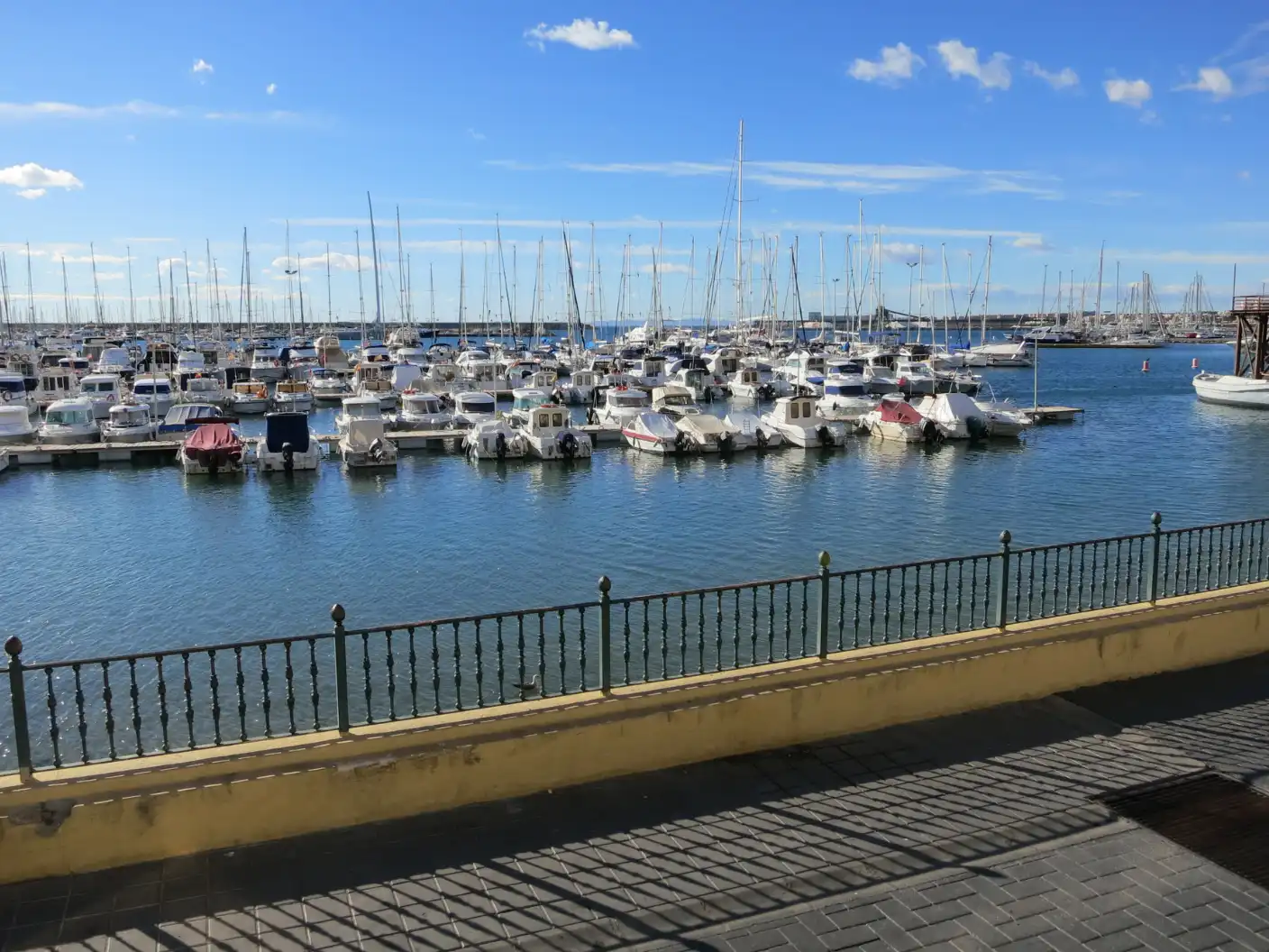 Vista exterior de Casa o xalet en venda en Torrevieja amb Jardí privat, Terrassa i Piscina