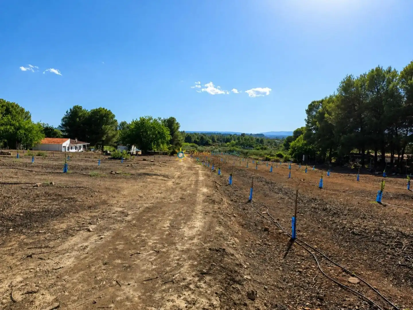 Rustikales Grundstück zum Verkauf in Sumacàrcer