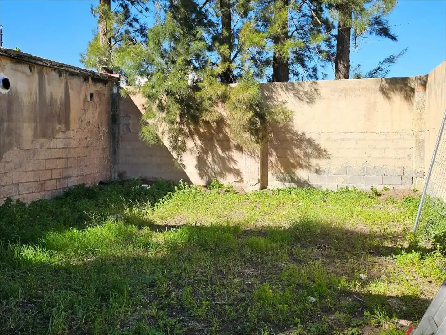 Pis en venda en Oliva amb Jardí privat