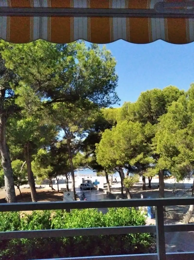 Exterior view of Study for rent in Calvià