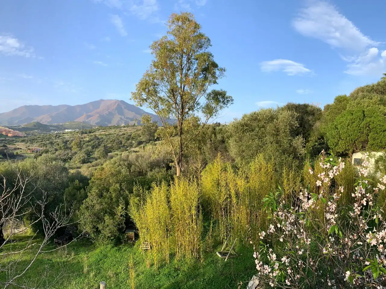 Garten von Residential zum Verkauf in Estepona