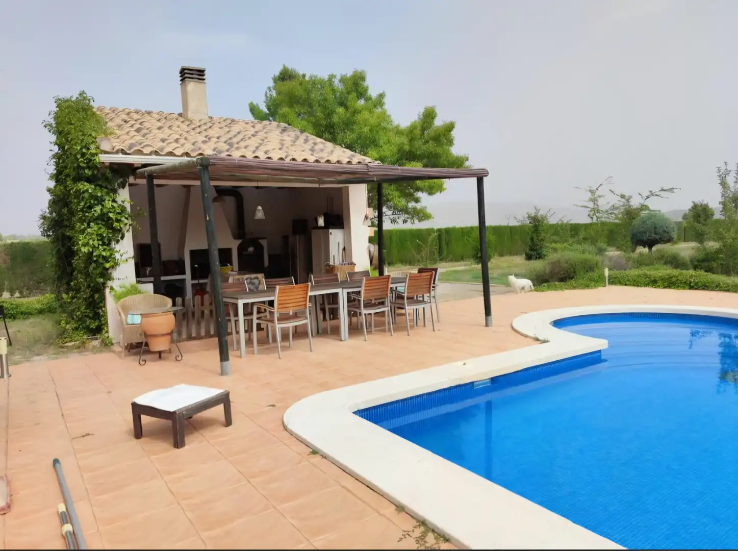 Piscina de Finca rústica en venda en Caravaca de la Cruz amb Jardí privat, Piscina i Moblat