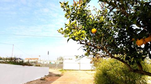 Photo 4 of House or chalet for sale in Gibraleón, Huelva