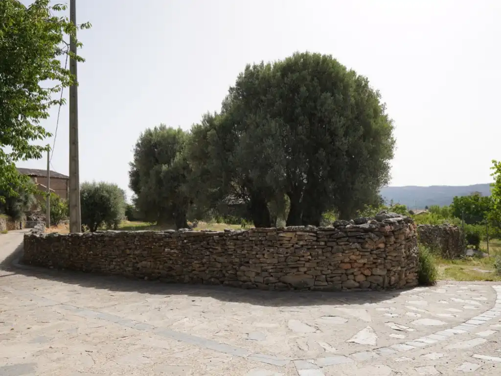 Terreni e lotti in vendita a Camino Casa Olivera(Lecina) 1