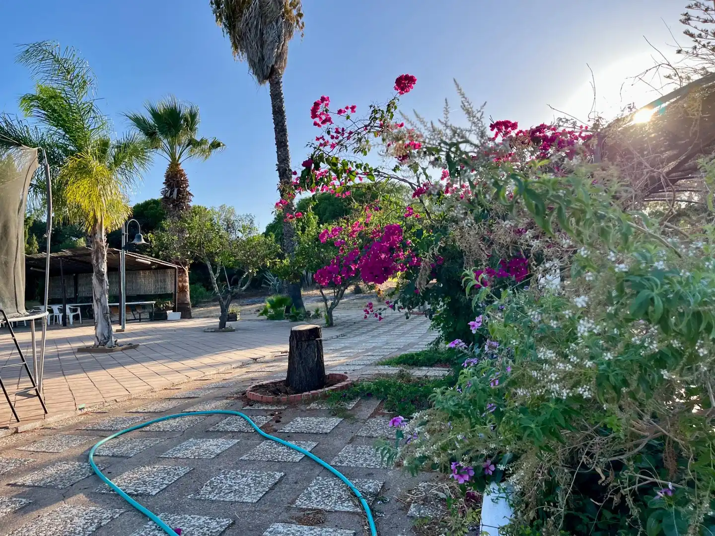 Casa rústica con piscina en venta en Camino Camino de Ayamonte, imagen 7