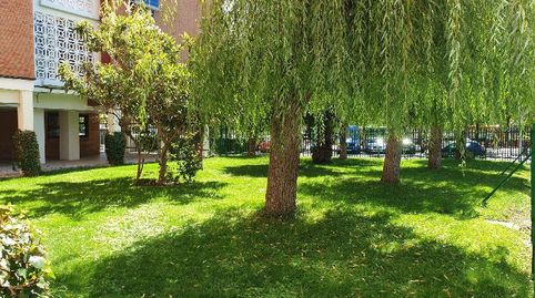 Foto 2 de Piso en venta en Parque Mayor, Alcorcón