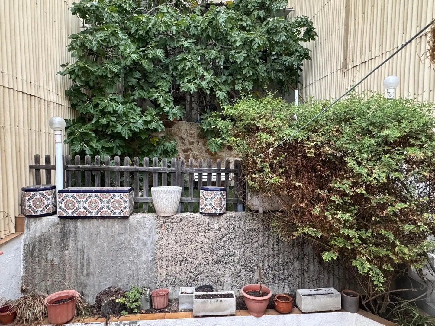 Jardín de Casa o chalet en venta en Mercat - Mas Moixa