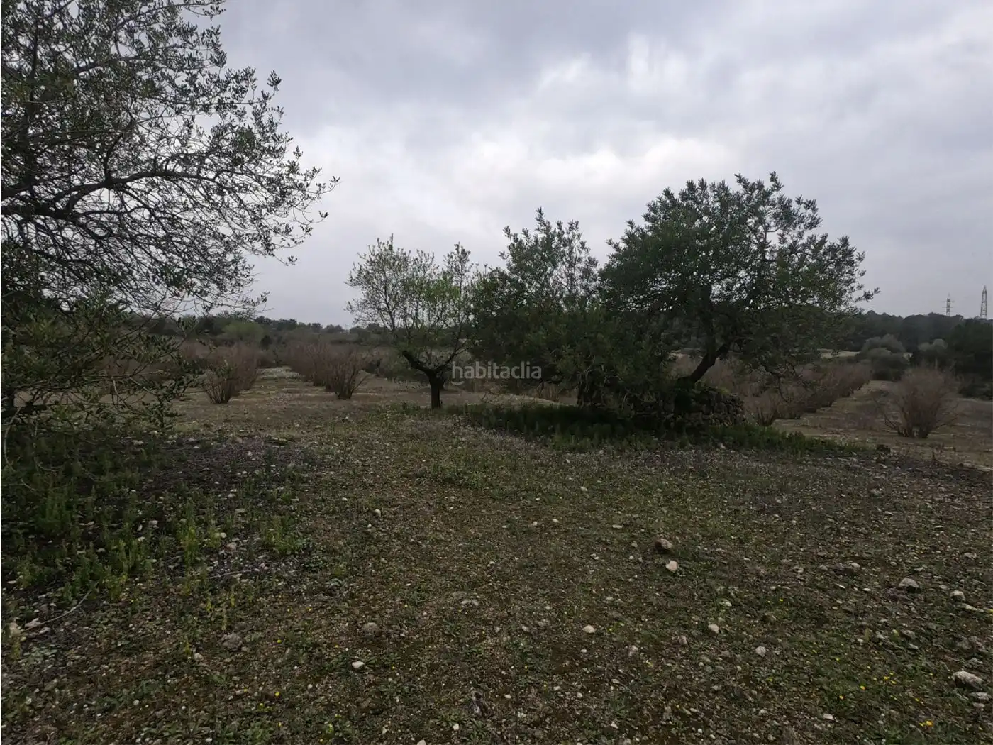 Rural land for sale in Carrer Sant Cristòfol 2, imagen 3