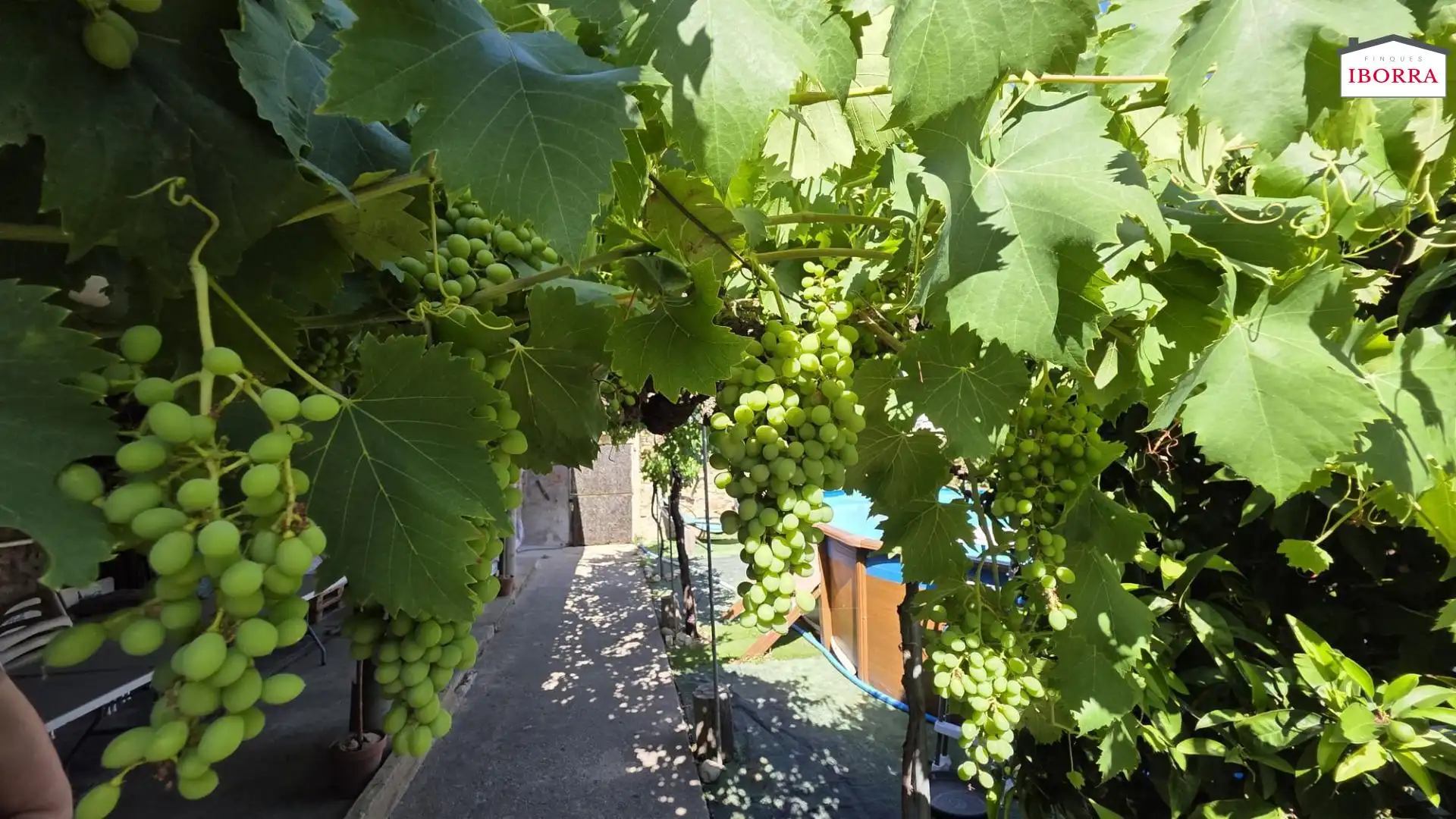 Garden of Houses for sale in Tordera  with Private garden, Storage room and Swimming Pool