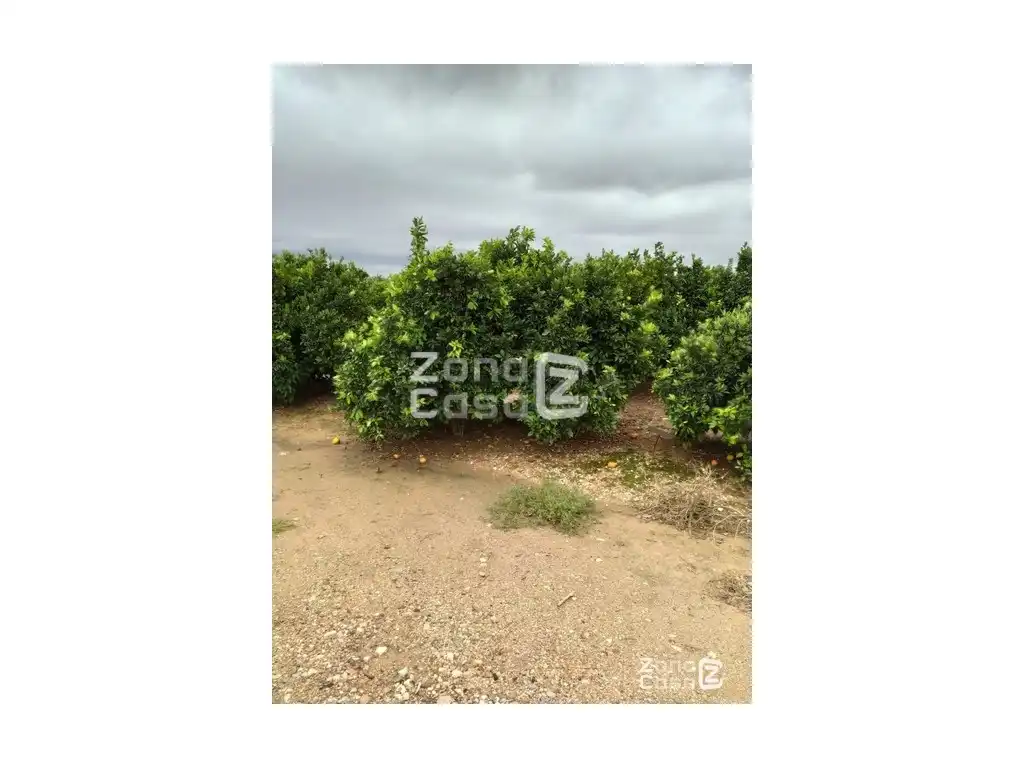 Country house for sale in Algemesí, imagen 5