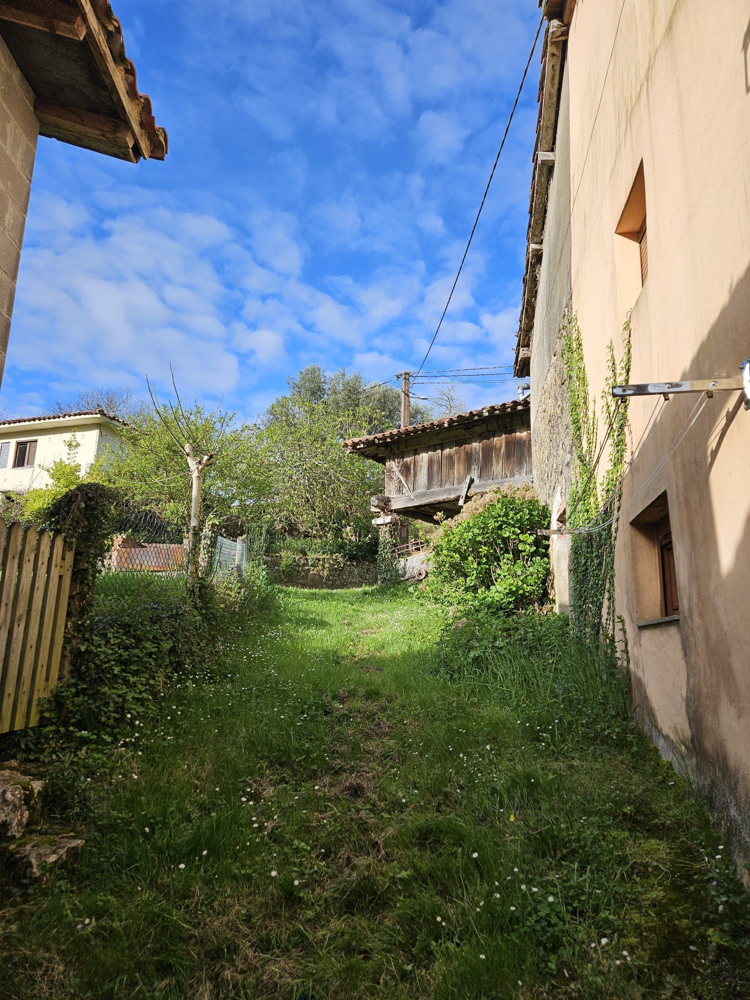 Jardí de Casa o xalet en venda en Parres