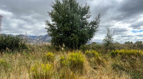 FINCA DE REGADIO EN LA ZONA DE LA ACEQUIA MADRE MAESTRA, PADUL GRANADA, immagine 3