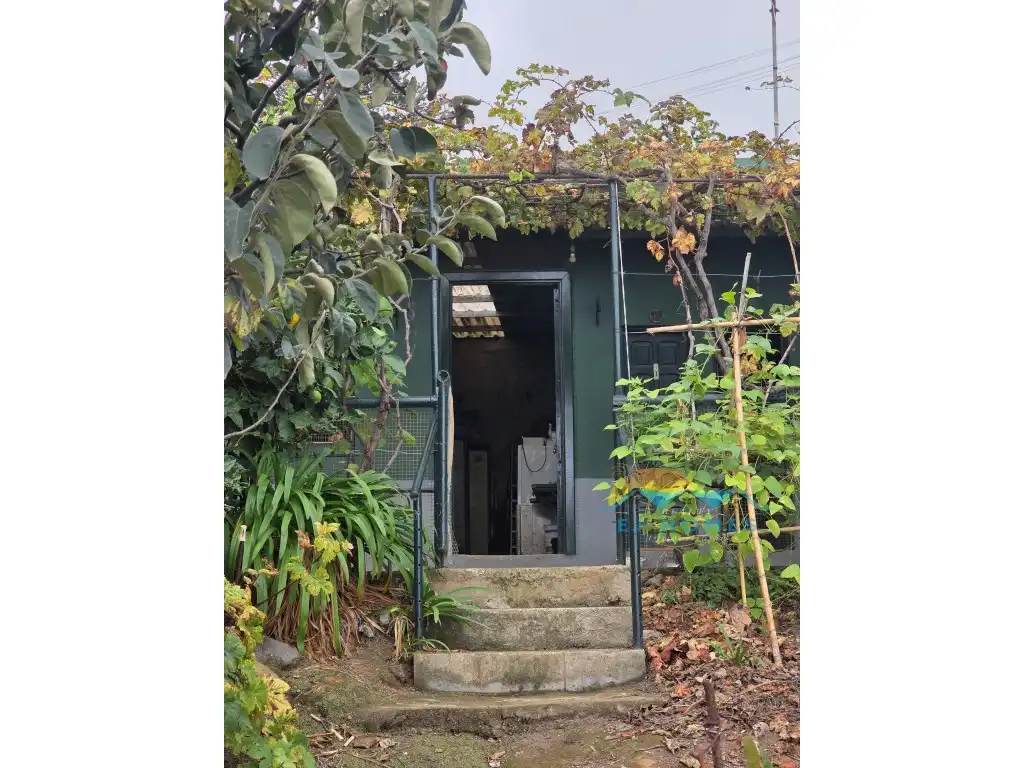 Exterior view of Houses for sale in La Orotava