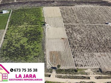 Terreni e lotti in vendita a Camino Punta del Aguila