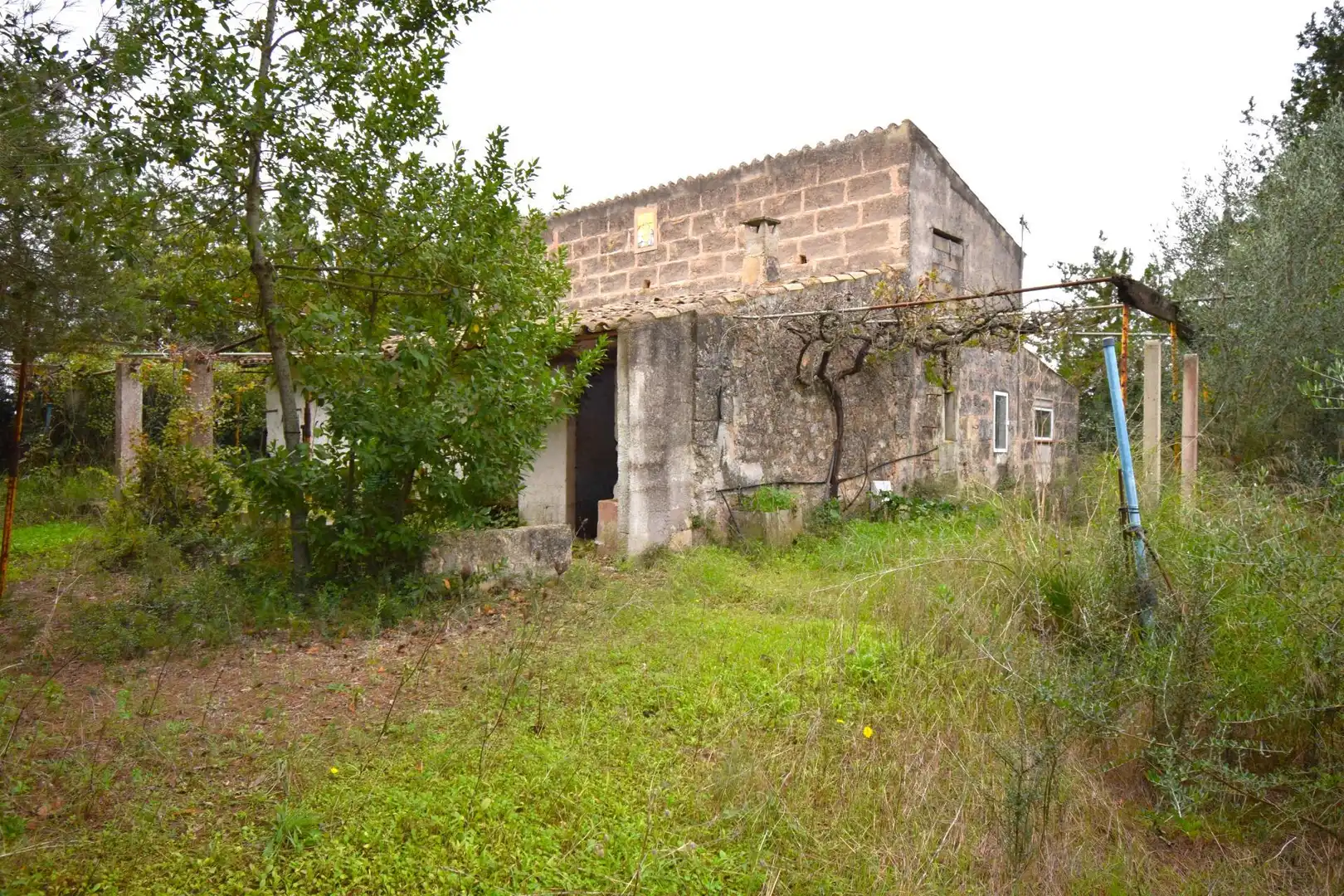 Landhaus mit Pool zum Verkauf in Muro, imagen 2