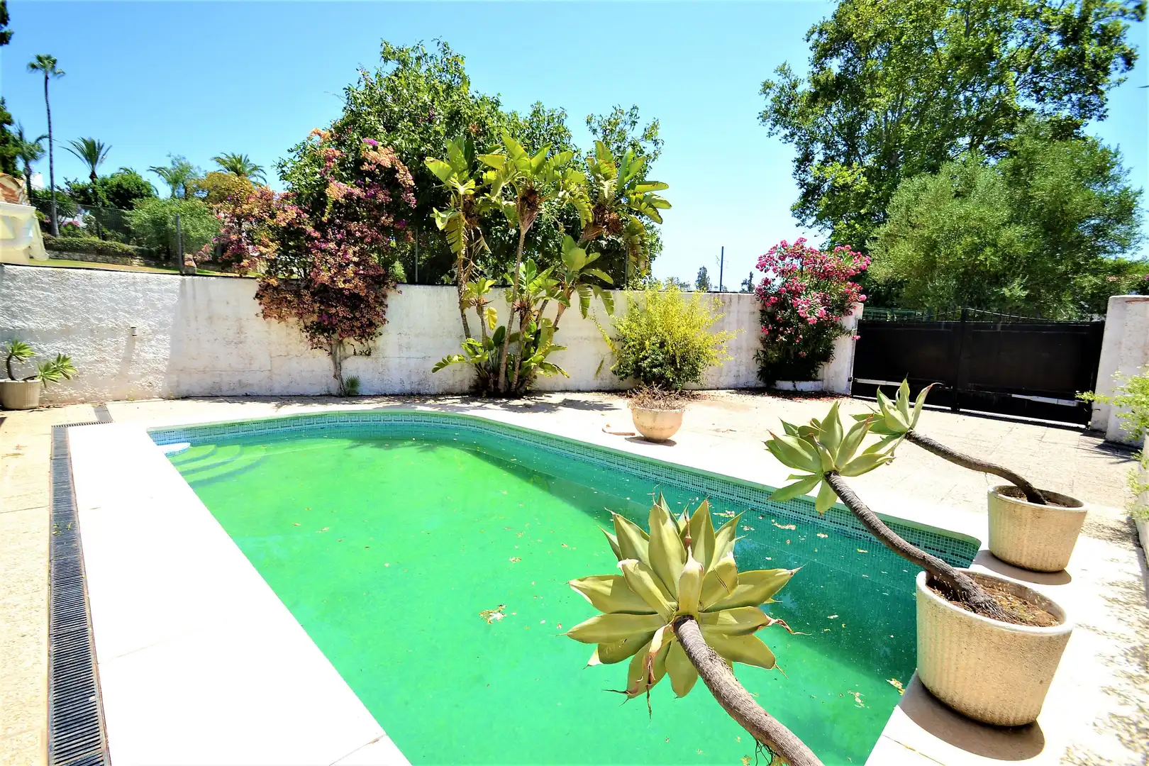 Terreno residenziale in vendita a San Pedro de Alcántara, imagen 5