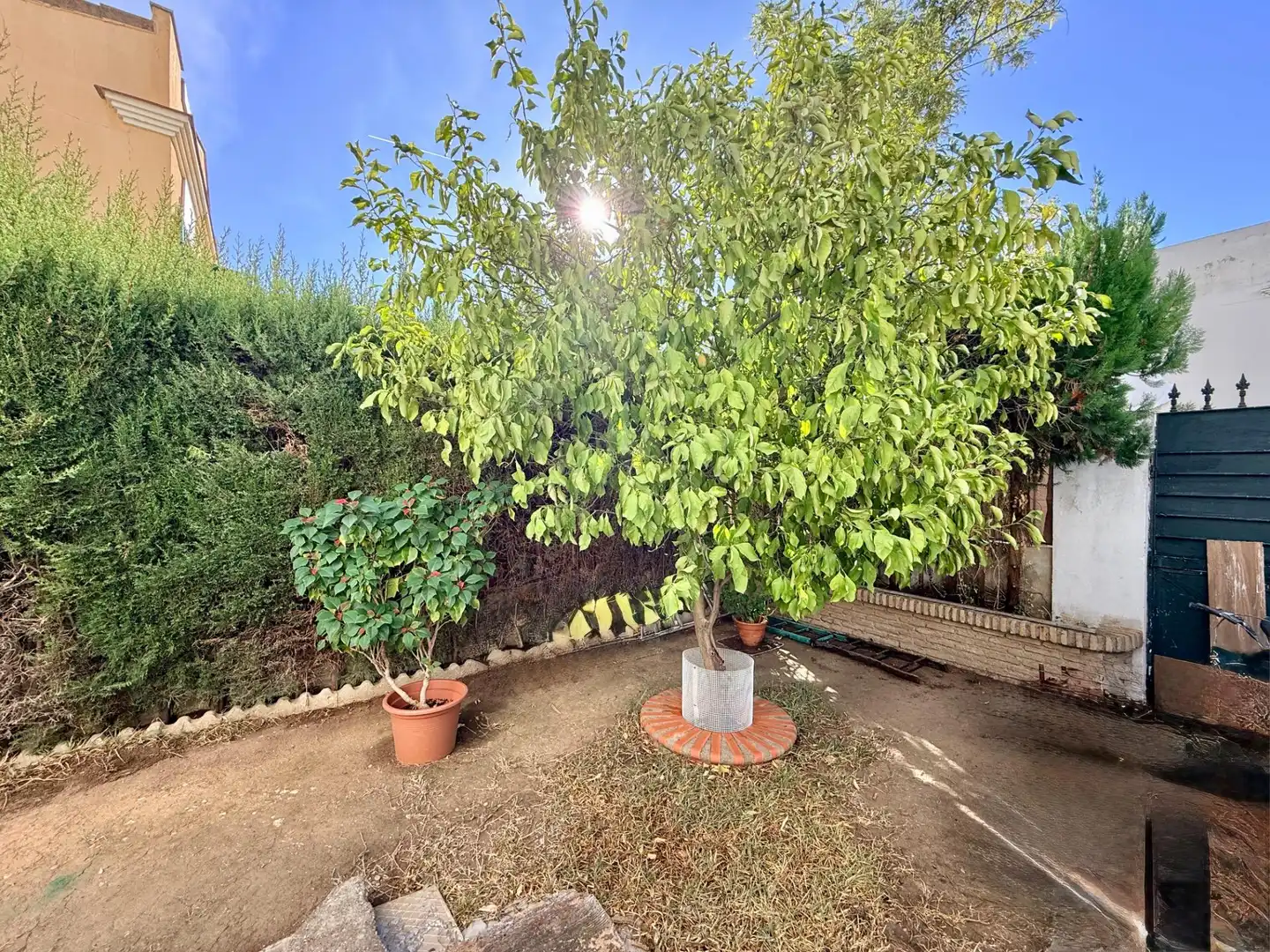 Jardín de Casa o chalet en venta en Gelves, Sevilla