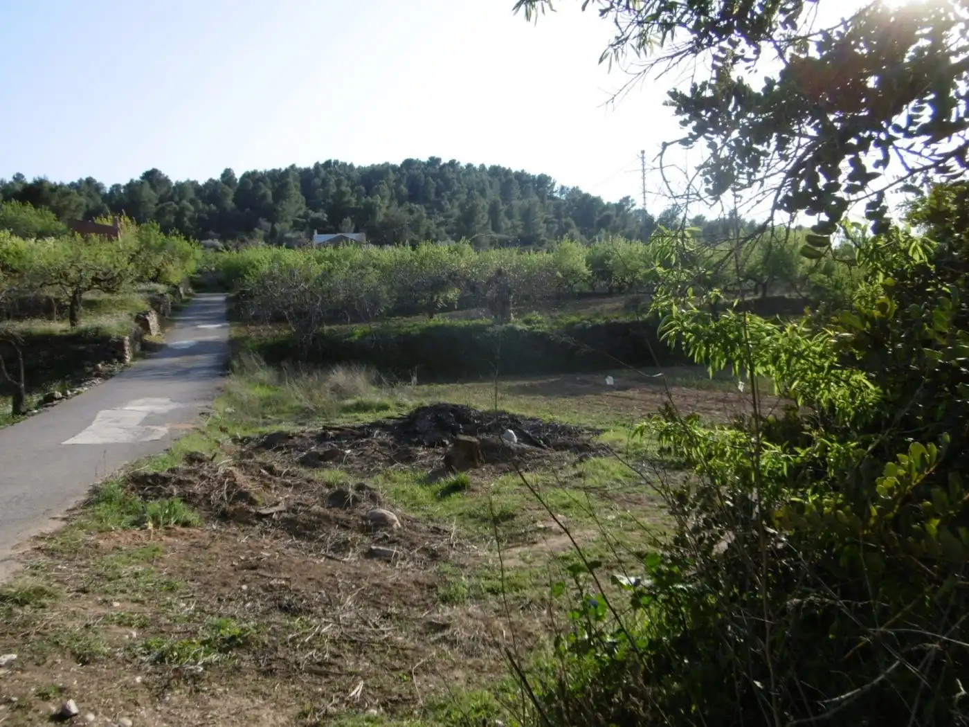 Terreny rústic en venda a Vall d'Alba, imagen 20