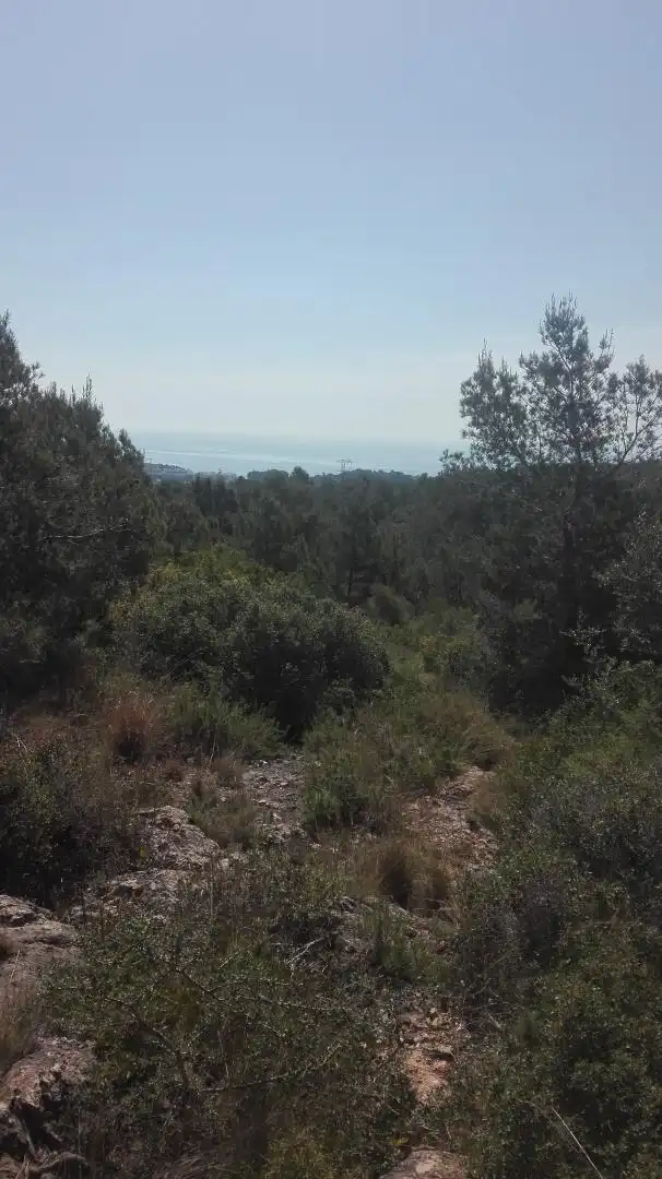 Terreni e lotti in vendita a Urbanitzacions de Llevant, imagen 12