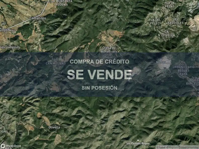 Pis en venda en Olesa de Bonesvalls
