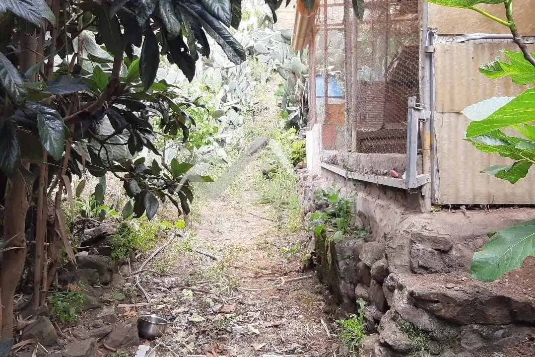 Country homes for sale in Teror