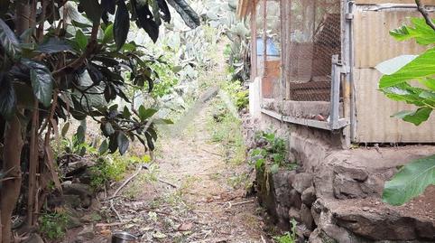 Photo 5 of Country house for sale in El Álamo - Arbejales, Las Palmas