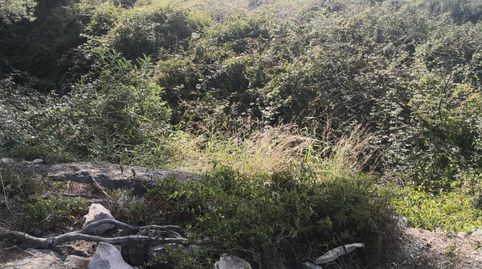 Foto 5 de Terreno en venta en Vilallonga / Villalonga, Valencia