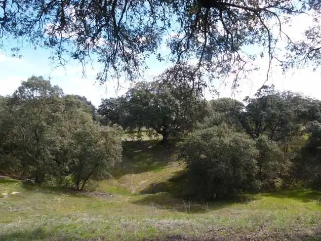 Terreno residencial en venta en Méntrida, imagen 4