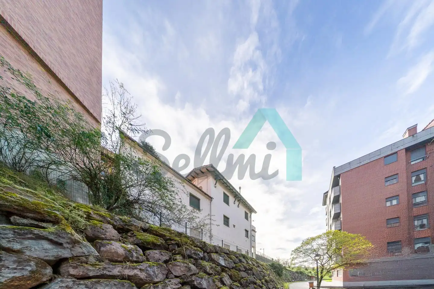 Vista exterior de Casa o chalet en venta en Oviedo  con Jardín privado y Terraza