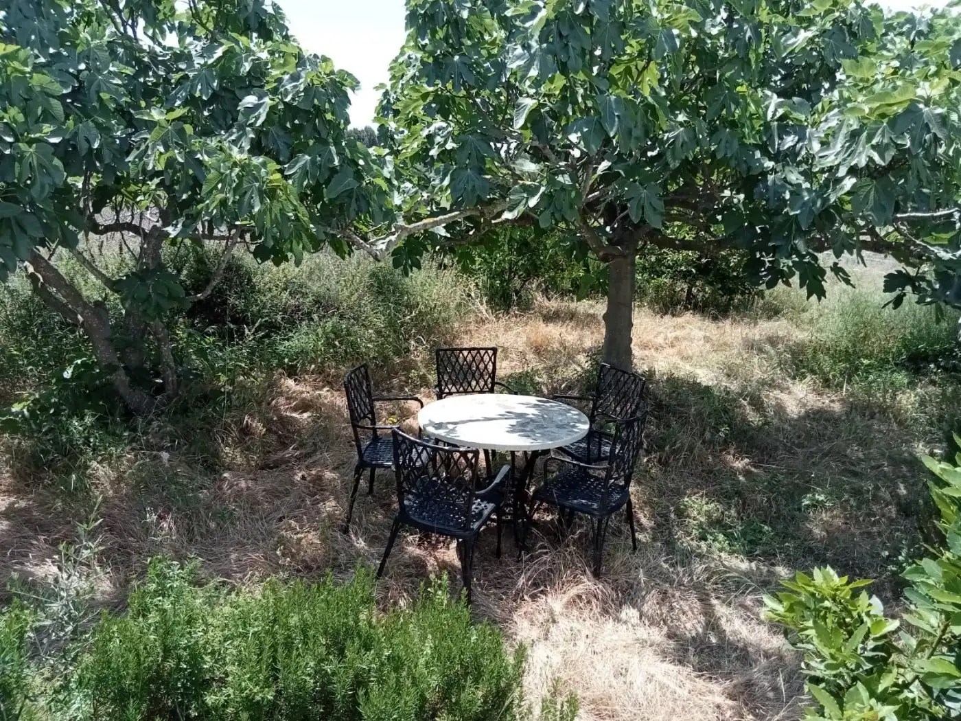 Country homes for sale in El Tancat - Mas d'en Gual