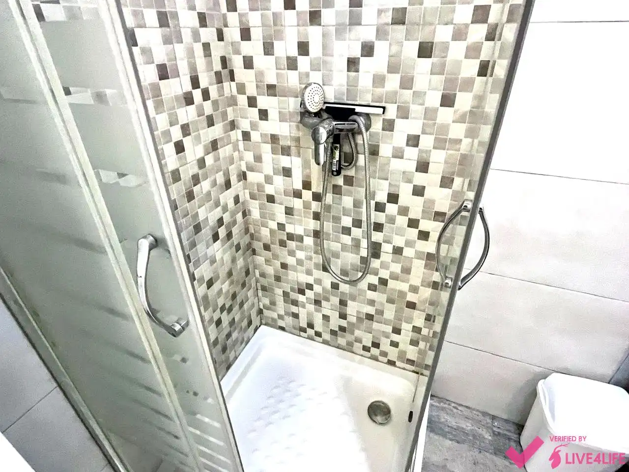 Baño de Piso de alquiler en Valencia con Jardín privado y Amueblado