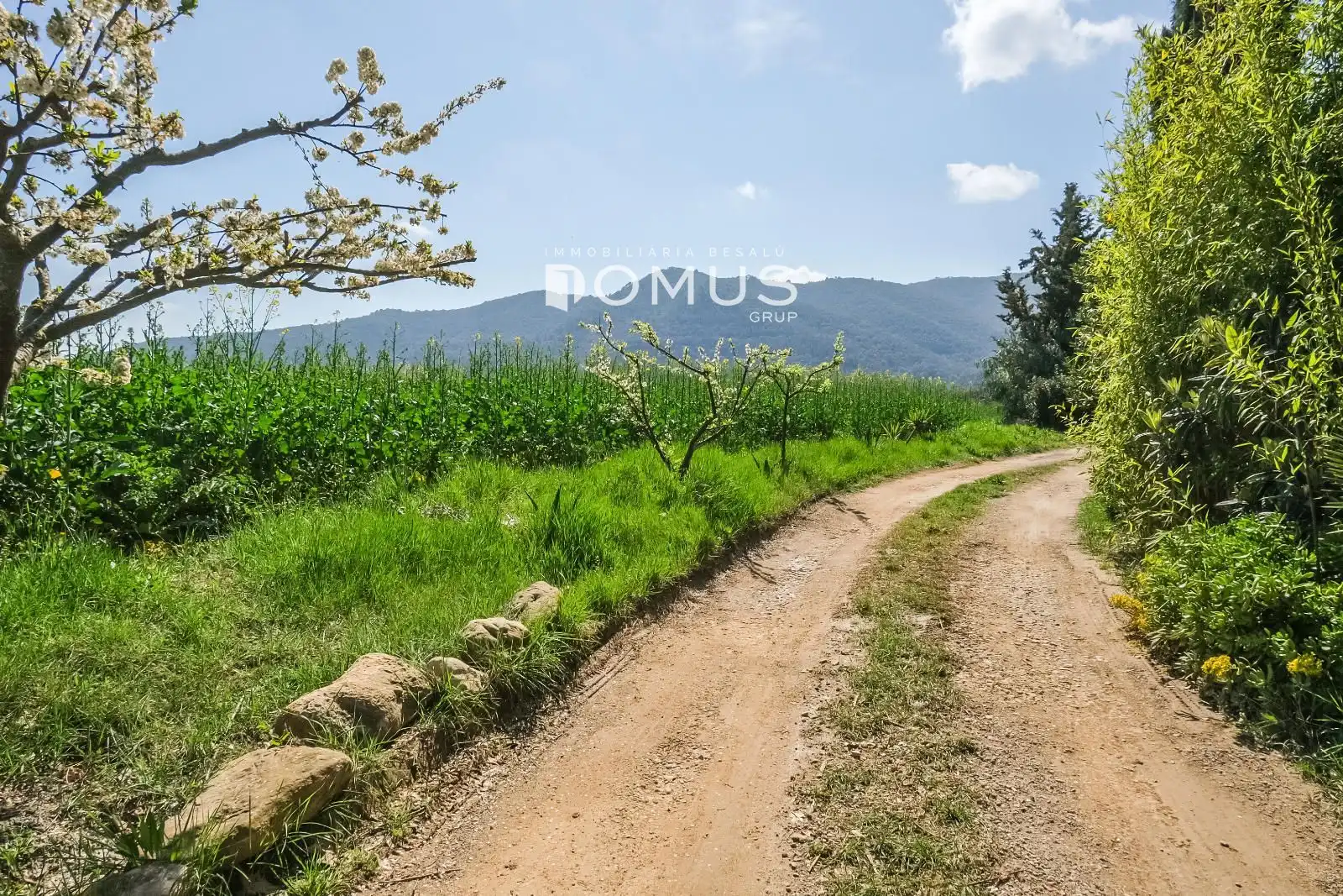 Finca rústica en venta en Besalú con Jardín privado