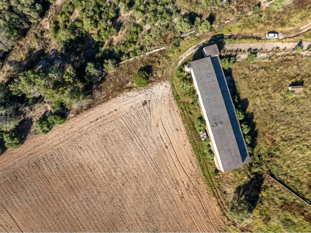 Terreno rustico in vendita a Llucmajor pueblo, imagen 90