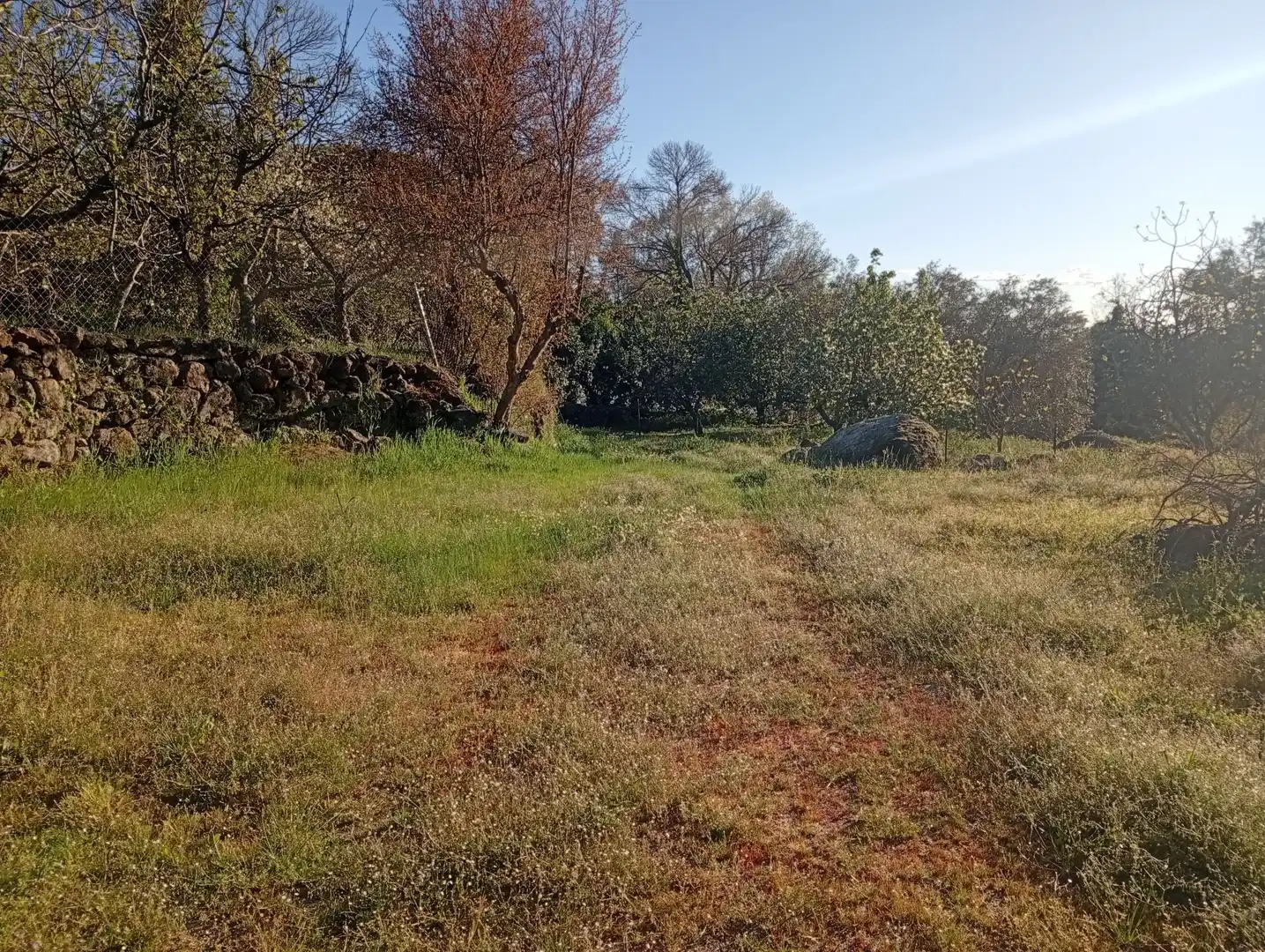 Terreno en venta en Valverde de la Vera