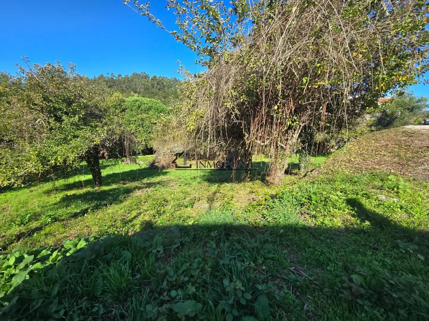 Casa o xalet en venda en Cerdedo amb Jardí privat