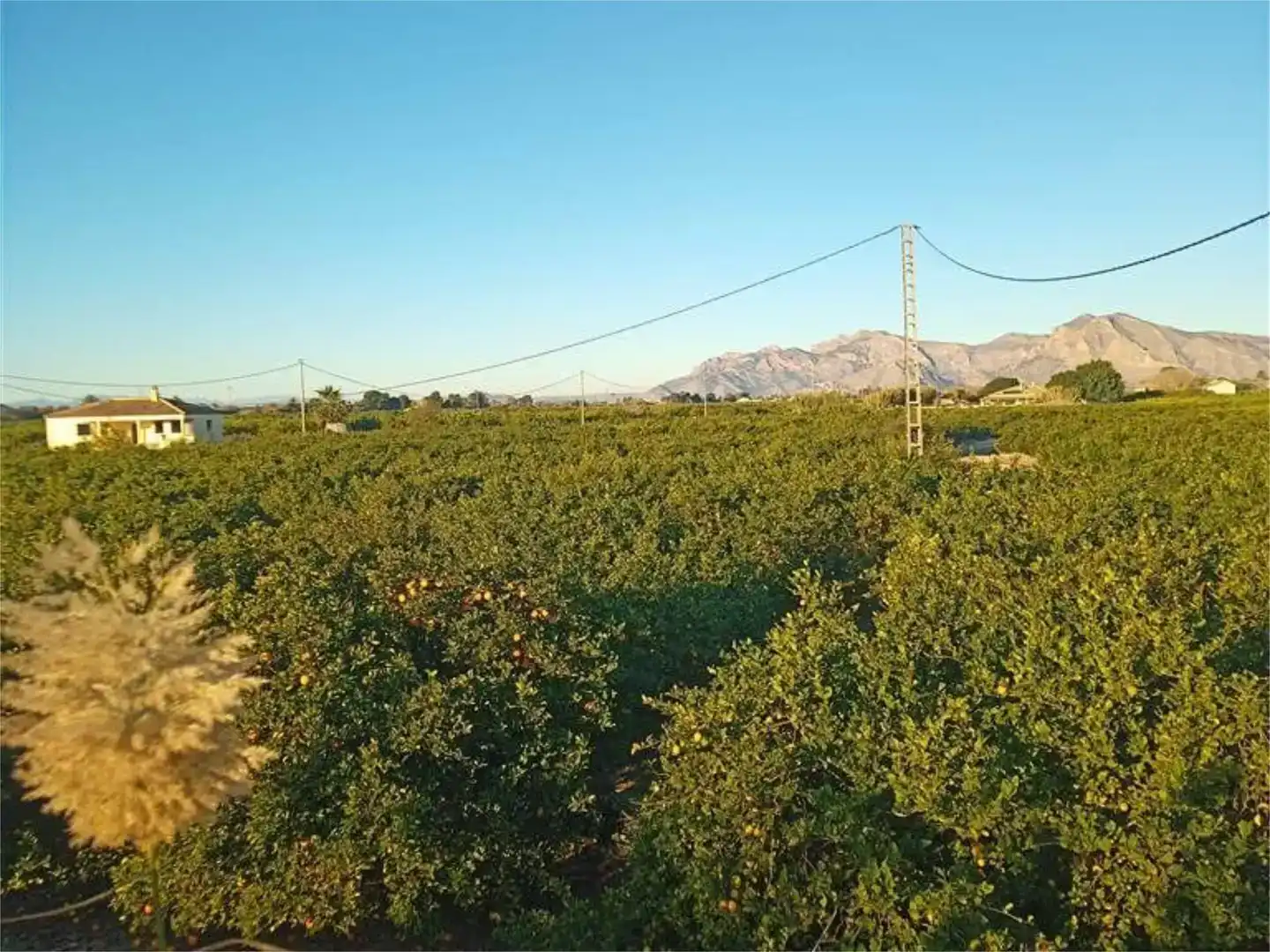 Terreno en venta en Orihuela