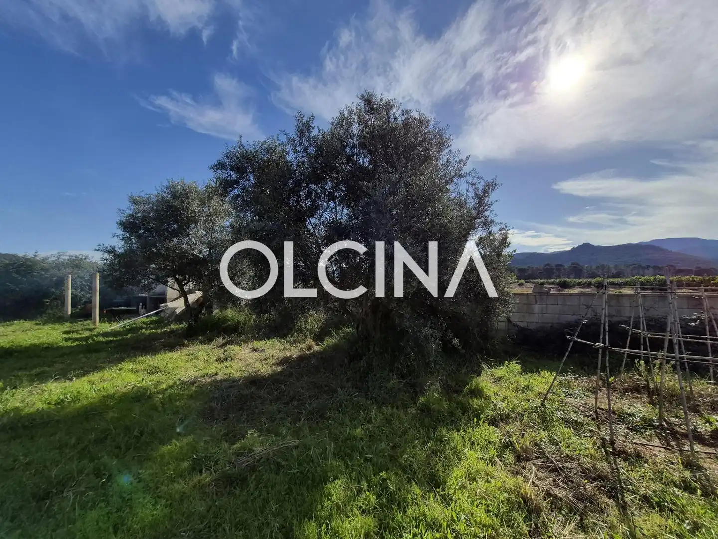 Casa o chalet en venta en Gandia con Jardín privado