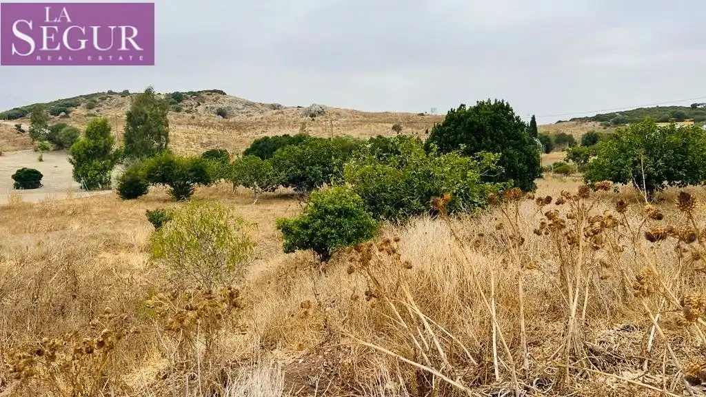 Finca rústica en venda en Medina Sidonia